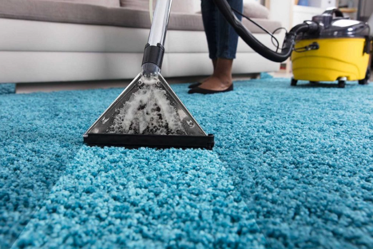 Carpet Cleaning